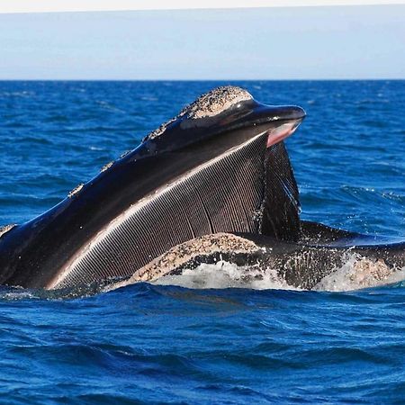 El Canto De La Ballena Loft 1 Puerto Pirámides Екстериор снимка